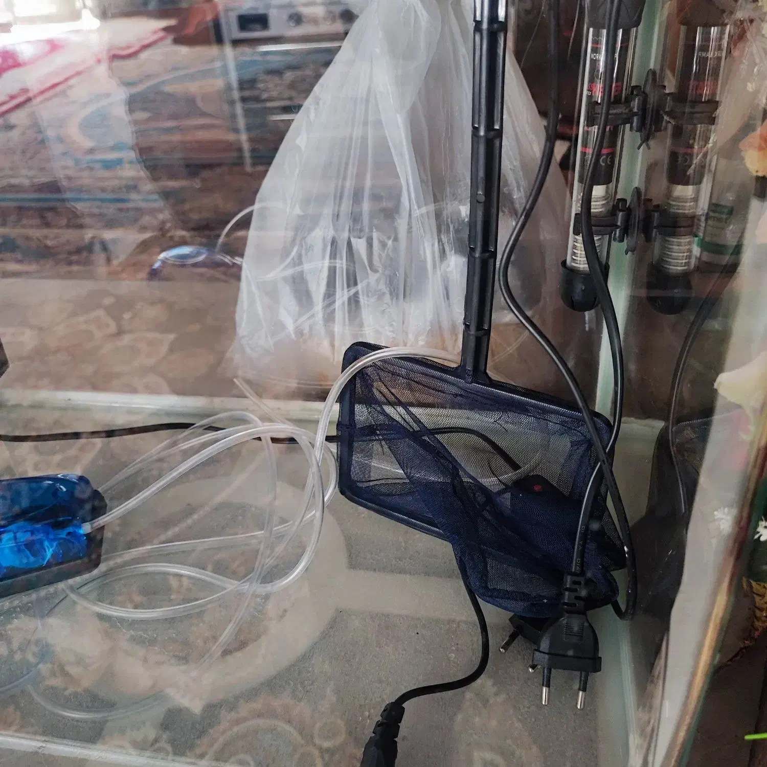 آکواریوم شرکتی دلسا|ماهی|اصفهان, برازنده|دیوار