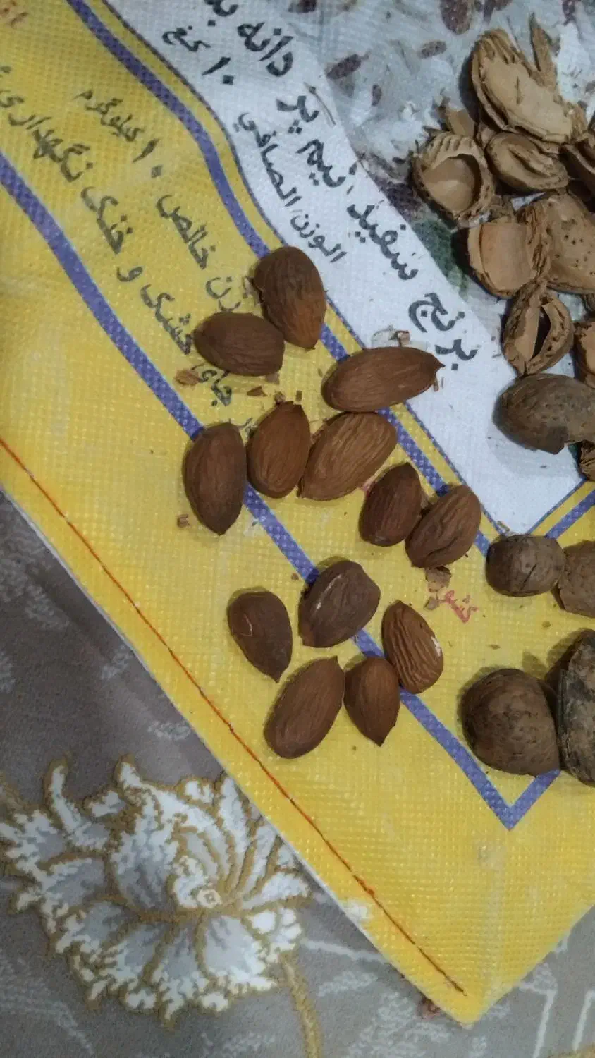 بادام شیرین|عمده‌فروشی|پیرانشهر, |دیوار