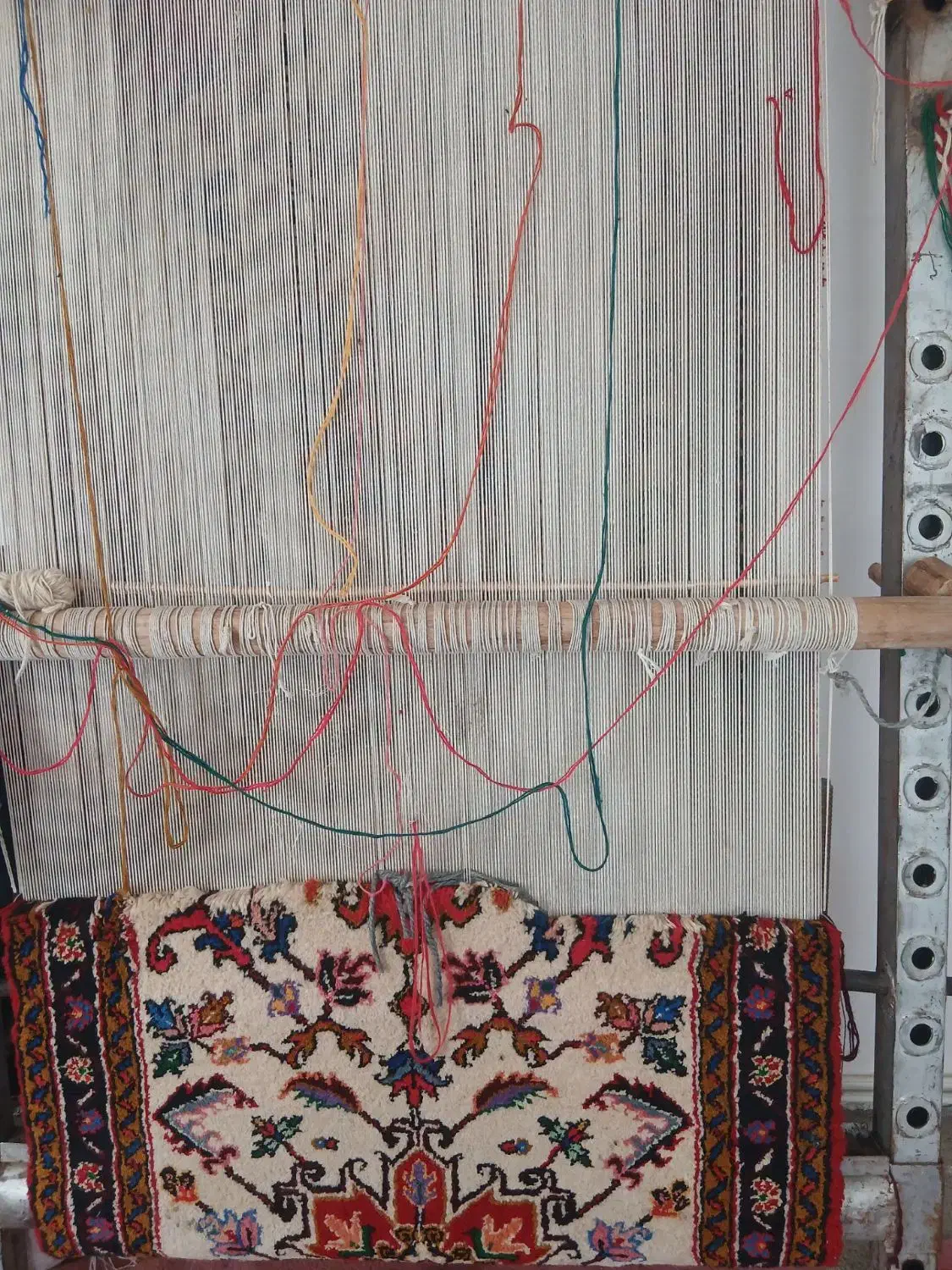 یک عدد قالی با دار فروخته میشود|فرش|مهربان, |دیوار