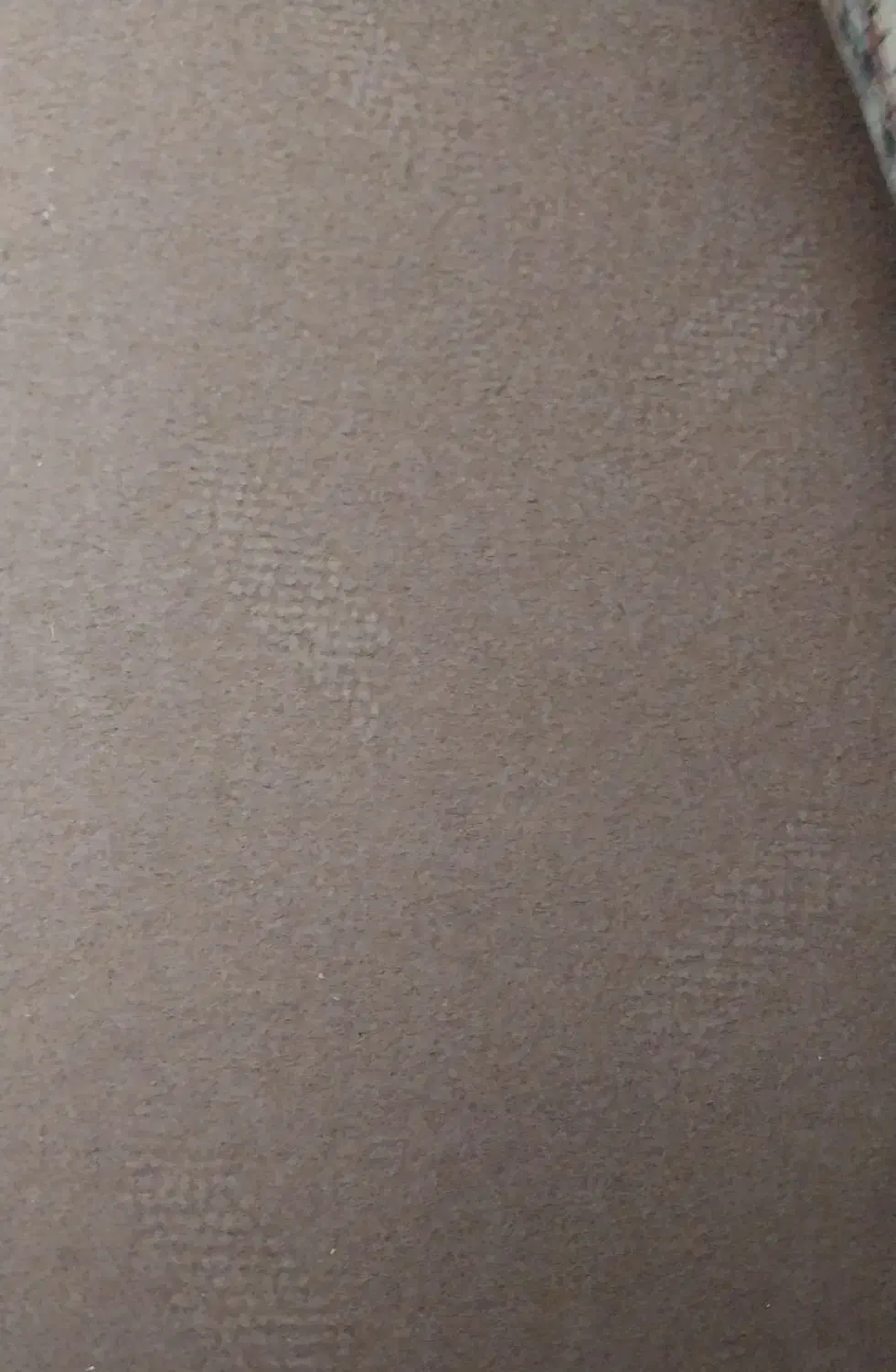 موکت|موکت|شیروان (خراسان), |دیوار