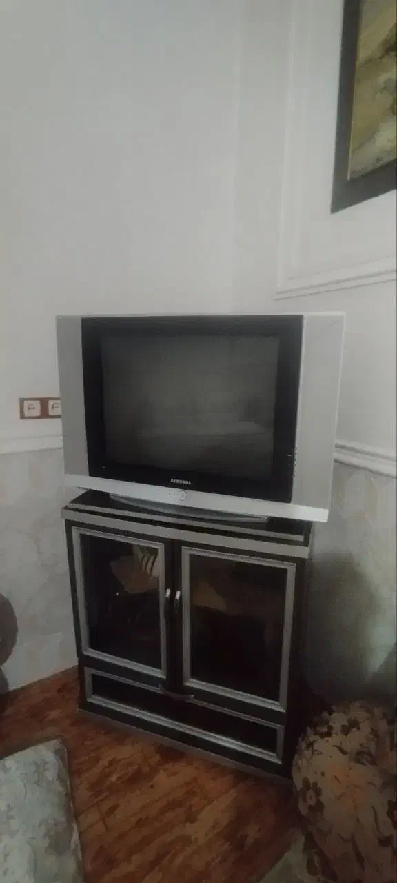 تلویزیون 29اینچ و دیجیتال ومیز|تلویزیون و پروژکتور|زابل, |دیوار