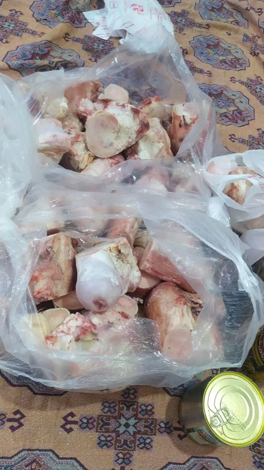 انواع پاچه و کوبیده یسنا|خوردنی و آشامیدنی|اهواز, کوی طلاب|دیوار