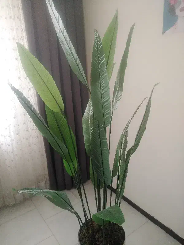 گلدان مصنوعی پرنده بهشتی|گل مصنوعی|پردیس, فاز ۱۱|دیوار