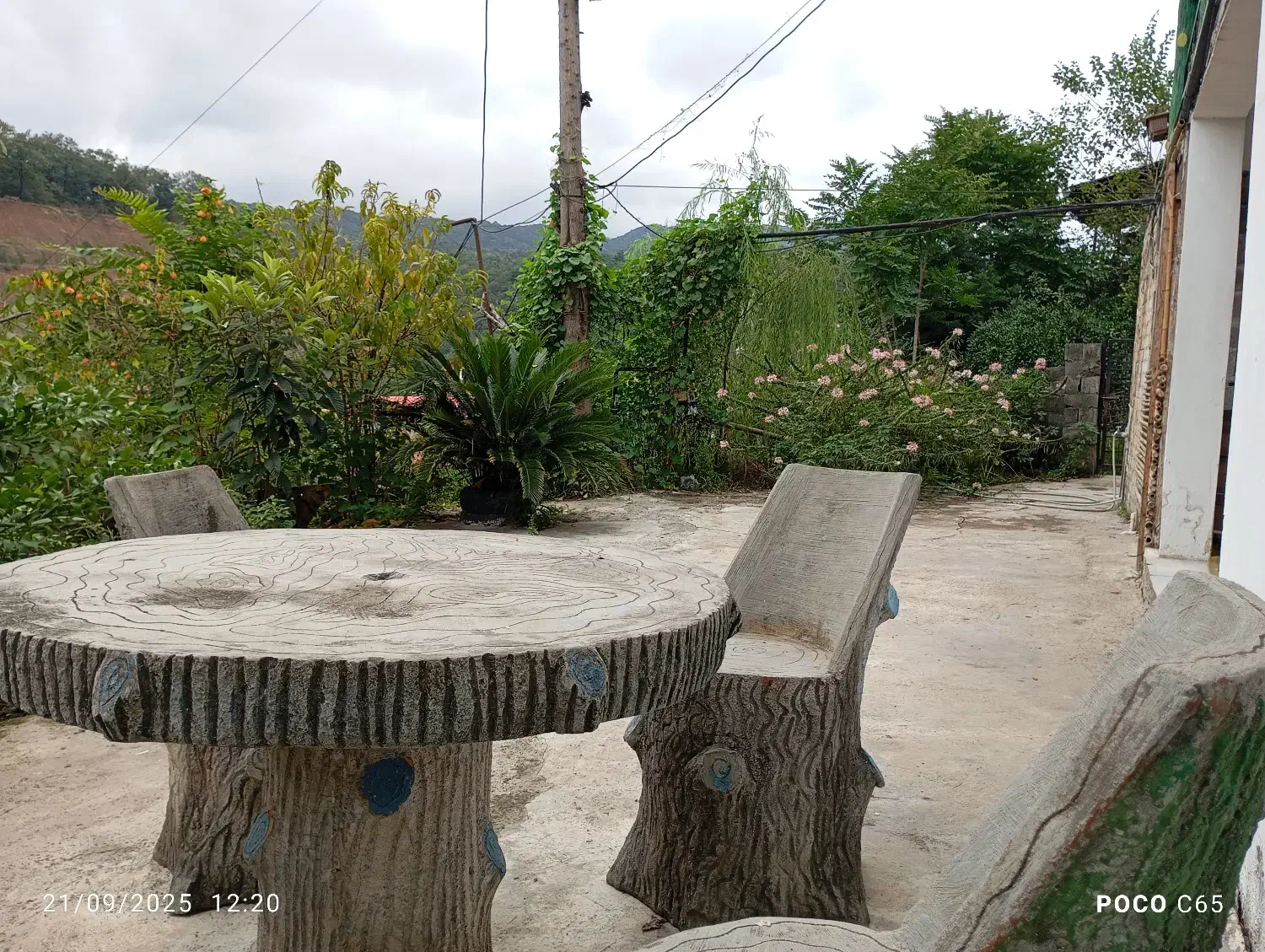 اجاره ویلا جنگلی تک خوابه|اجارهٔ کوتاه‌مدت ویلا و باغ|چالوس, |دیوار