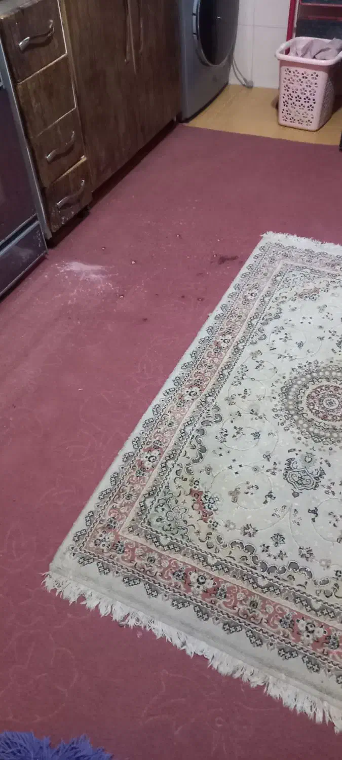 موکت وفرش|موکت|گرگان, |دیوار