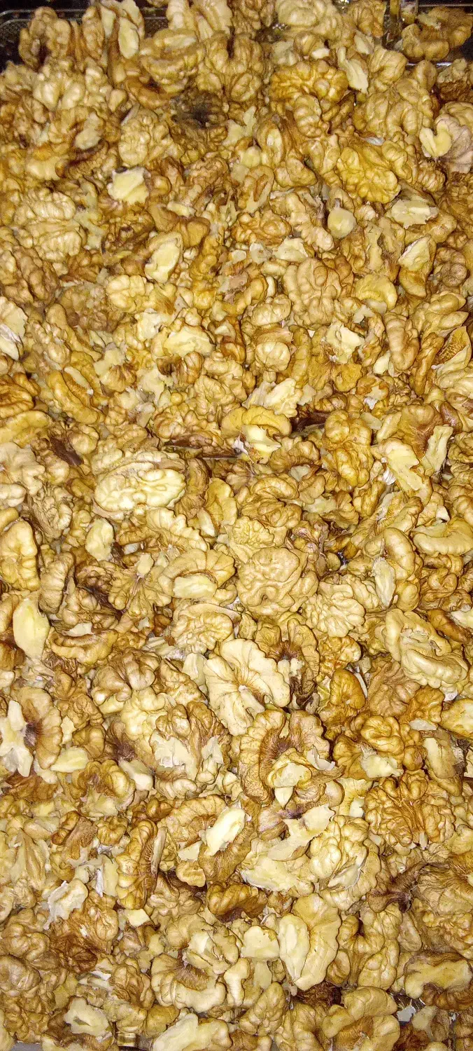 مغز گردو سفید و فستجانی|خوردنی و آشامیدنی|پاوه, |دیوار