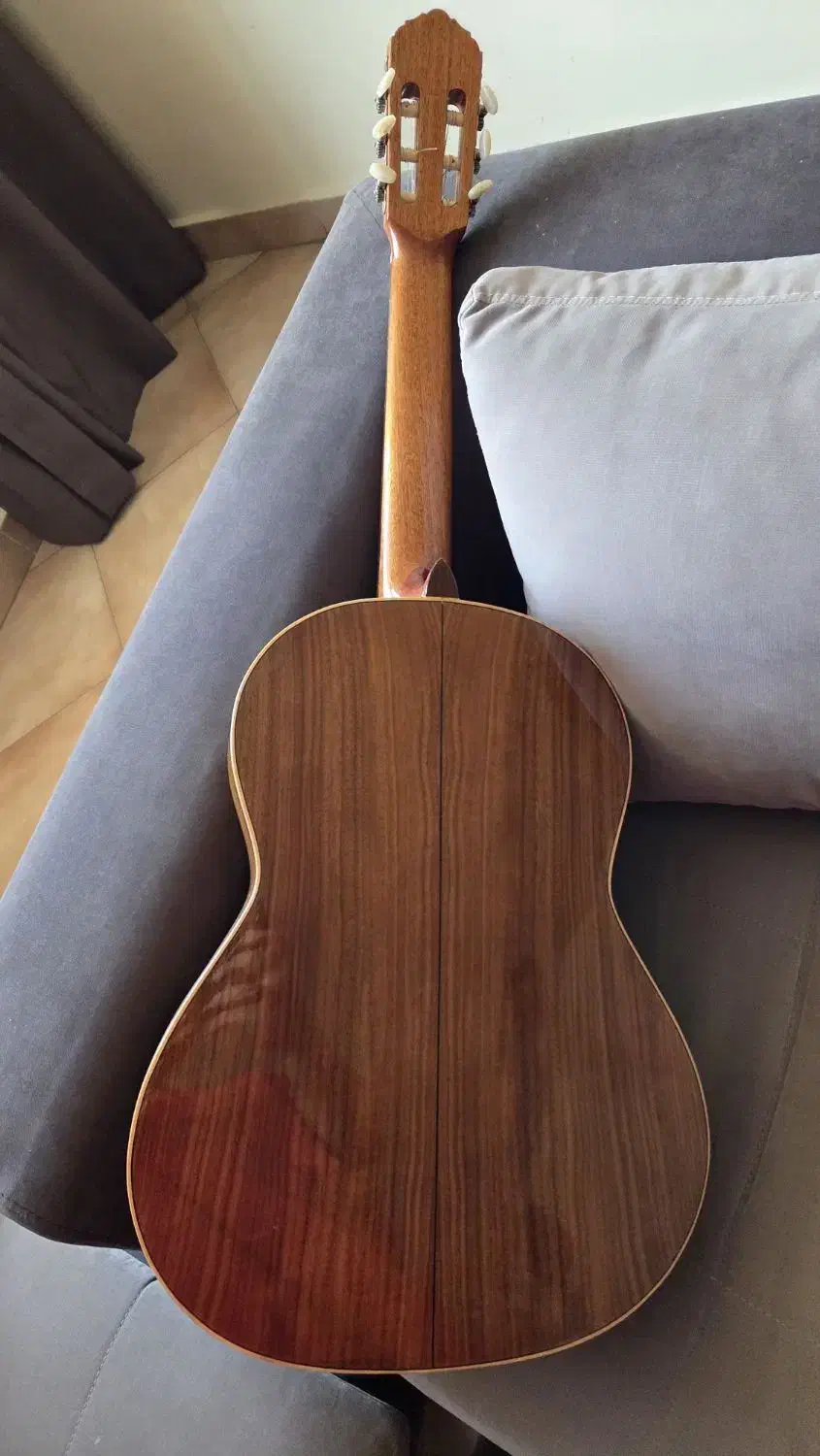 گیتار fransisco bros|گیتار، بیس، امپلیفایر|تهران, دانشگاه شریف|دیوار