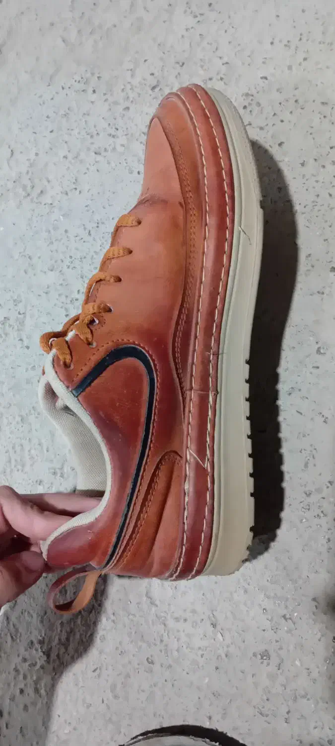 کفش|کیف، کفش، کمربند|بجنورد, |دیوار