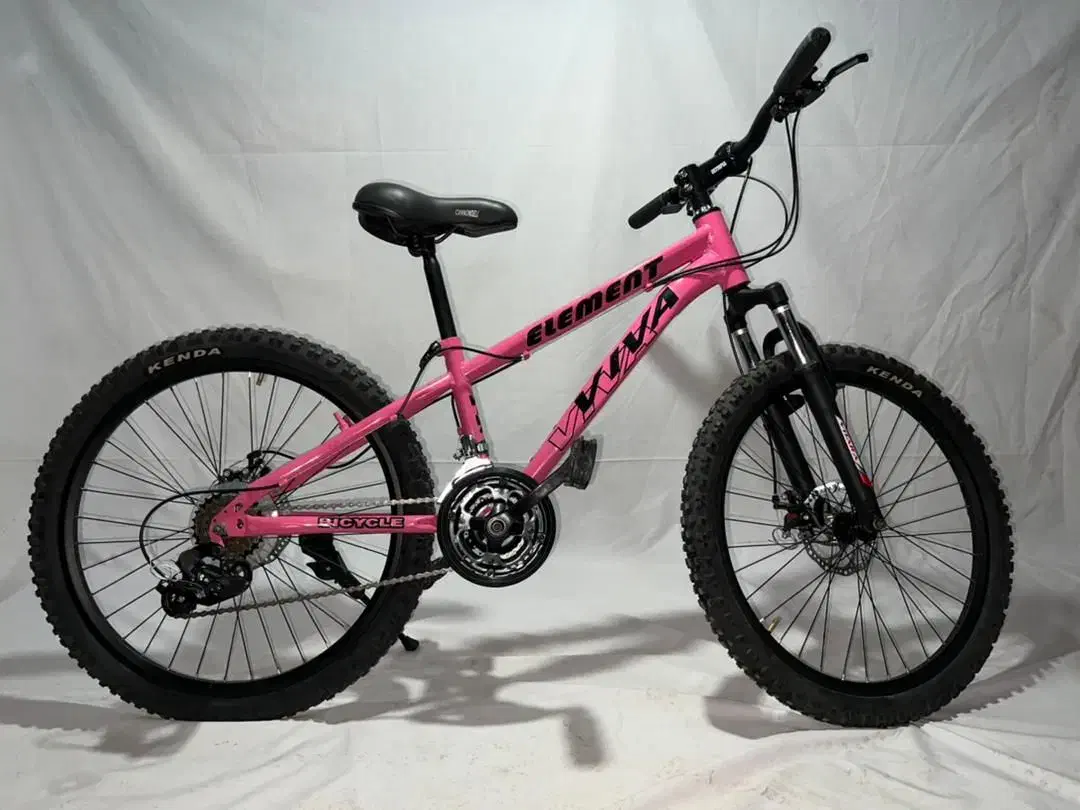 دوچرخه با فریم مقاوم /طراحی زیبا/کودک و بزرگسال|دوچرخه، اسکیت، اسکوتر|مشکیندشت, |دیوار