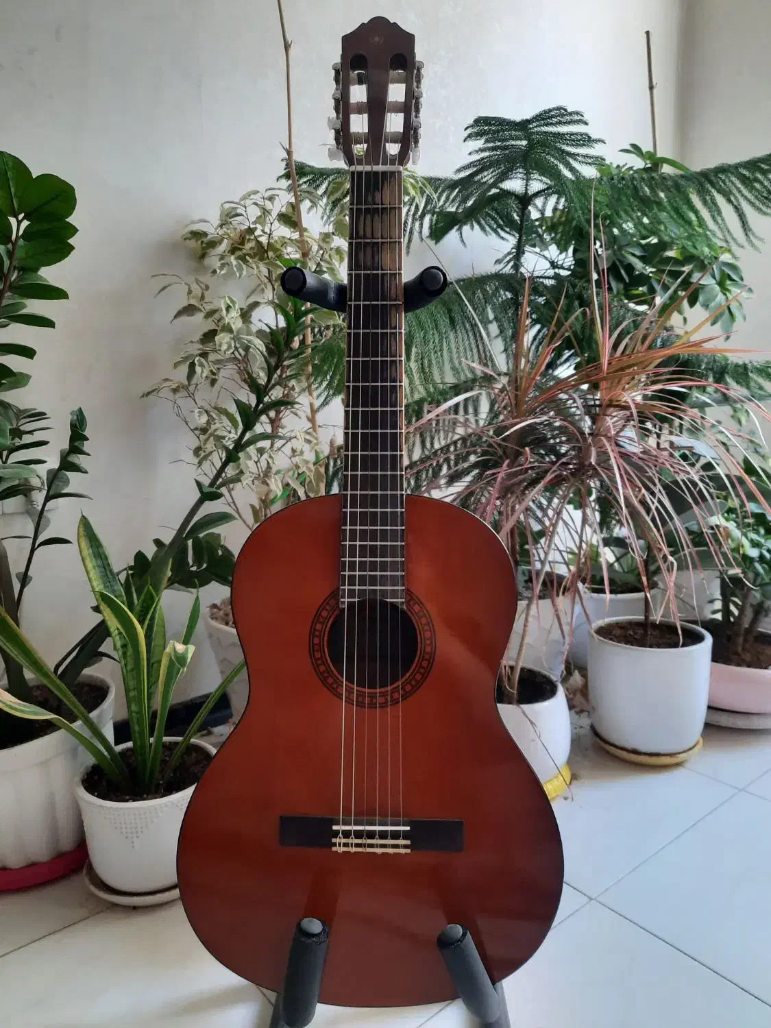 گیتار یاماها مدل cs40 سایز ۳/۴|گیتار، بیس، امپلیفایر|شیراز, دکتر حسابی|دیوار