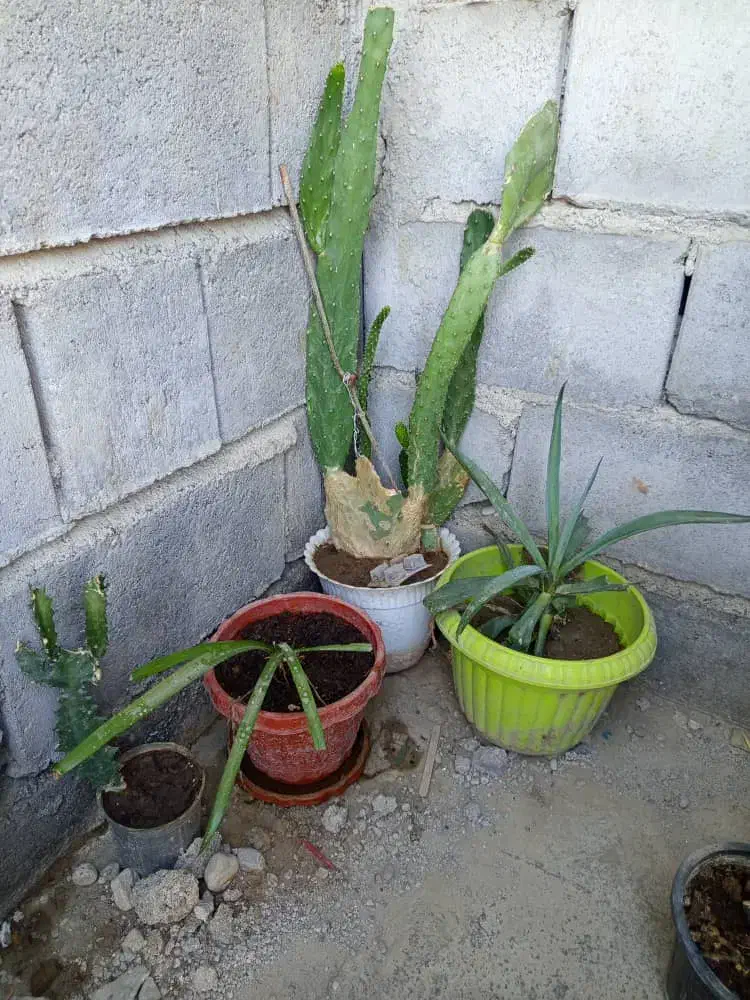 جویای کار|خدمات پیشه و مهارت|میناب, |دیوار