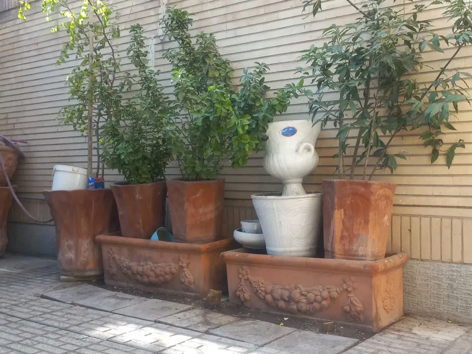 فروش 15 عدد گلدان سفالی بزرگ وسالم|گل و گیاه طبیعی|لنجان, |دیوار