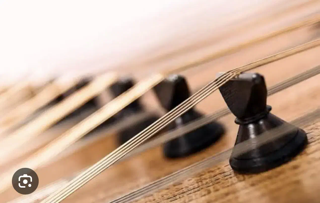 اموزش ساز سنتور ویژه بانوان|خدمات آموزشی|زرند, |دیوار