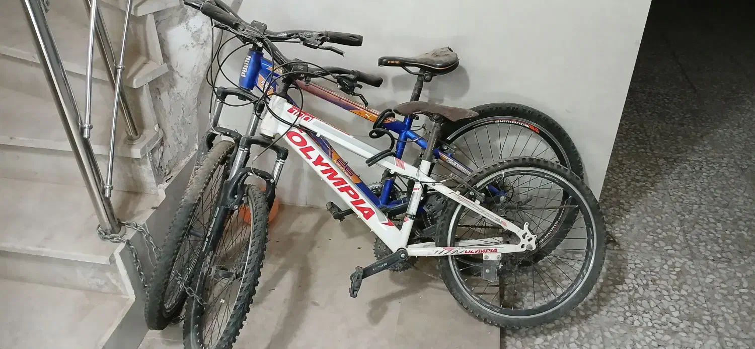 دوچرخه المپیا سفید سایز ۲۴|دوچرخه، اسکیت، اسکوتر|الوند, |دیوار