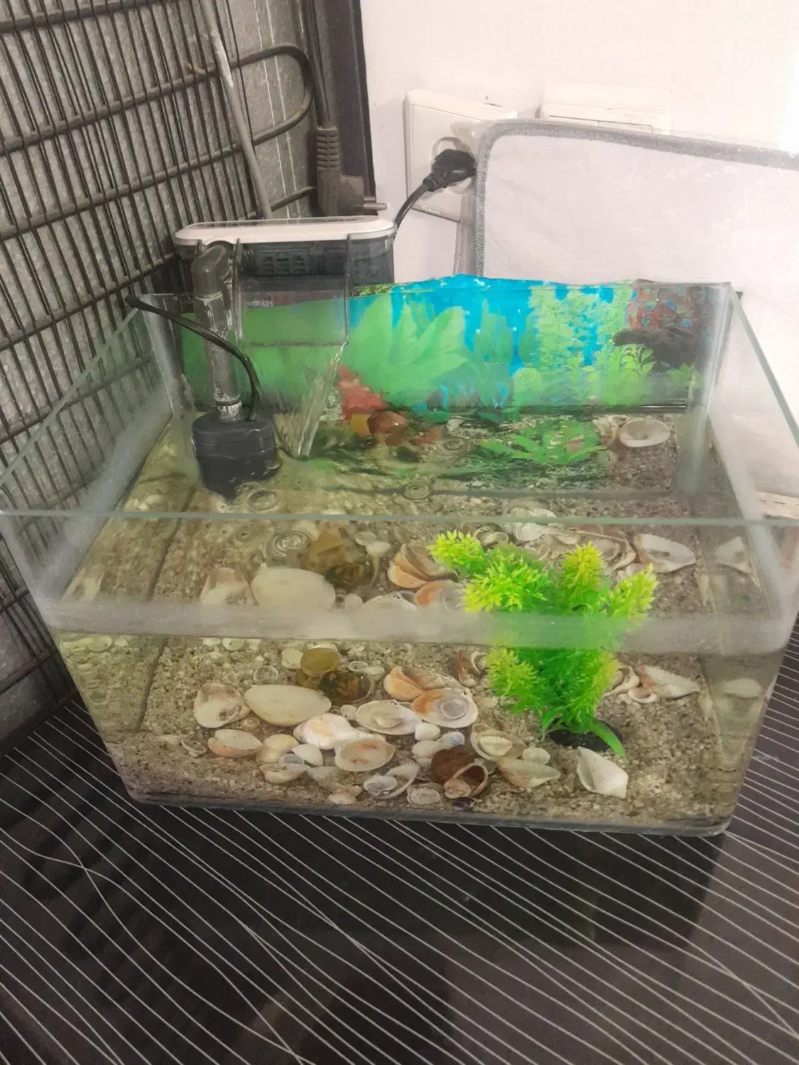 آکواریوم زیبا با پمپ آبشاری کامل|ماهی|ابریشم, |دیوار