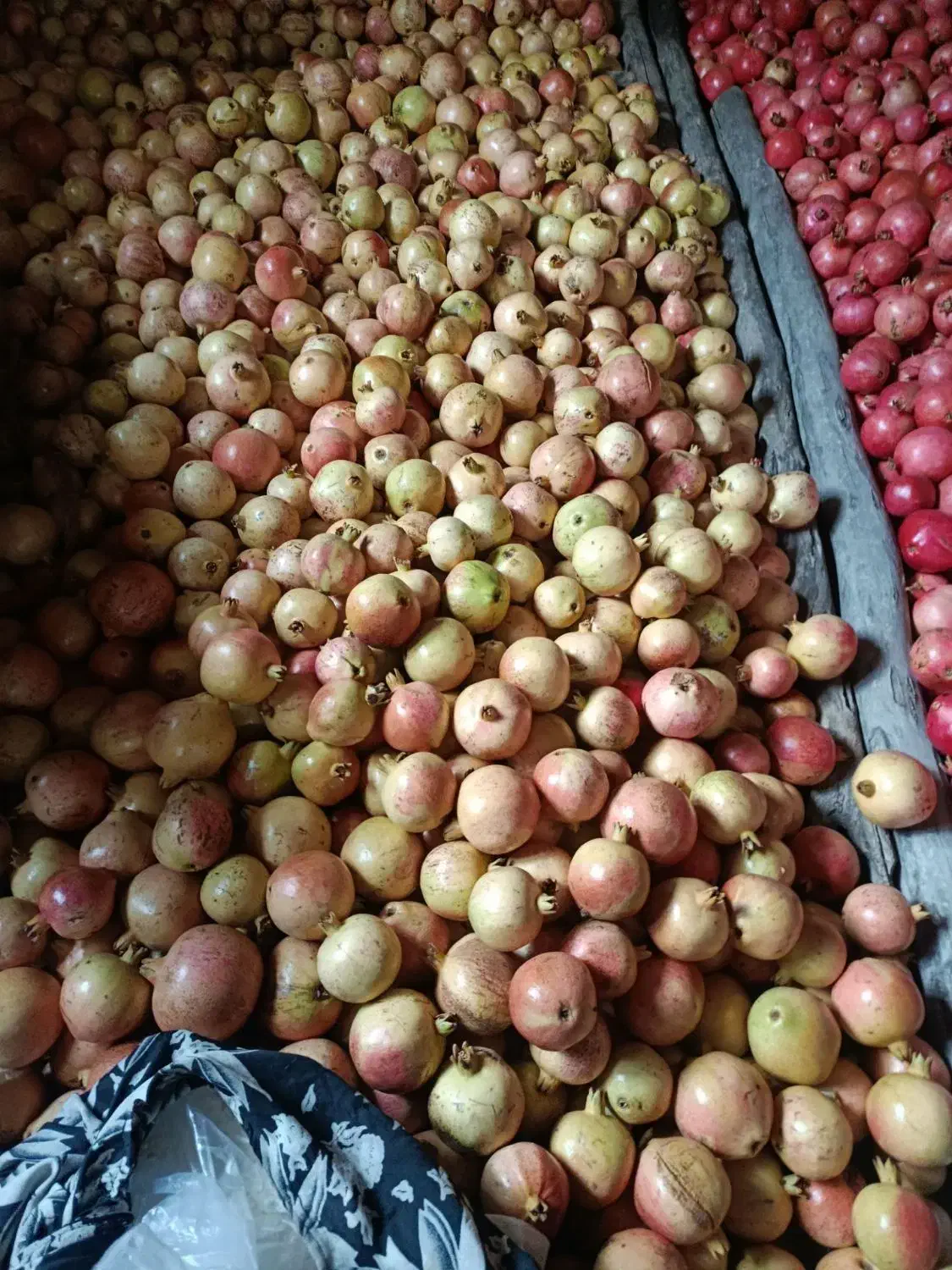 انار قره داغ|خوردنی و آشامیدنی|منجوان, |دیوار