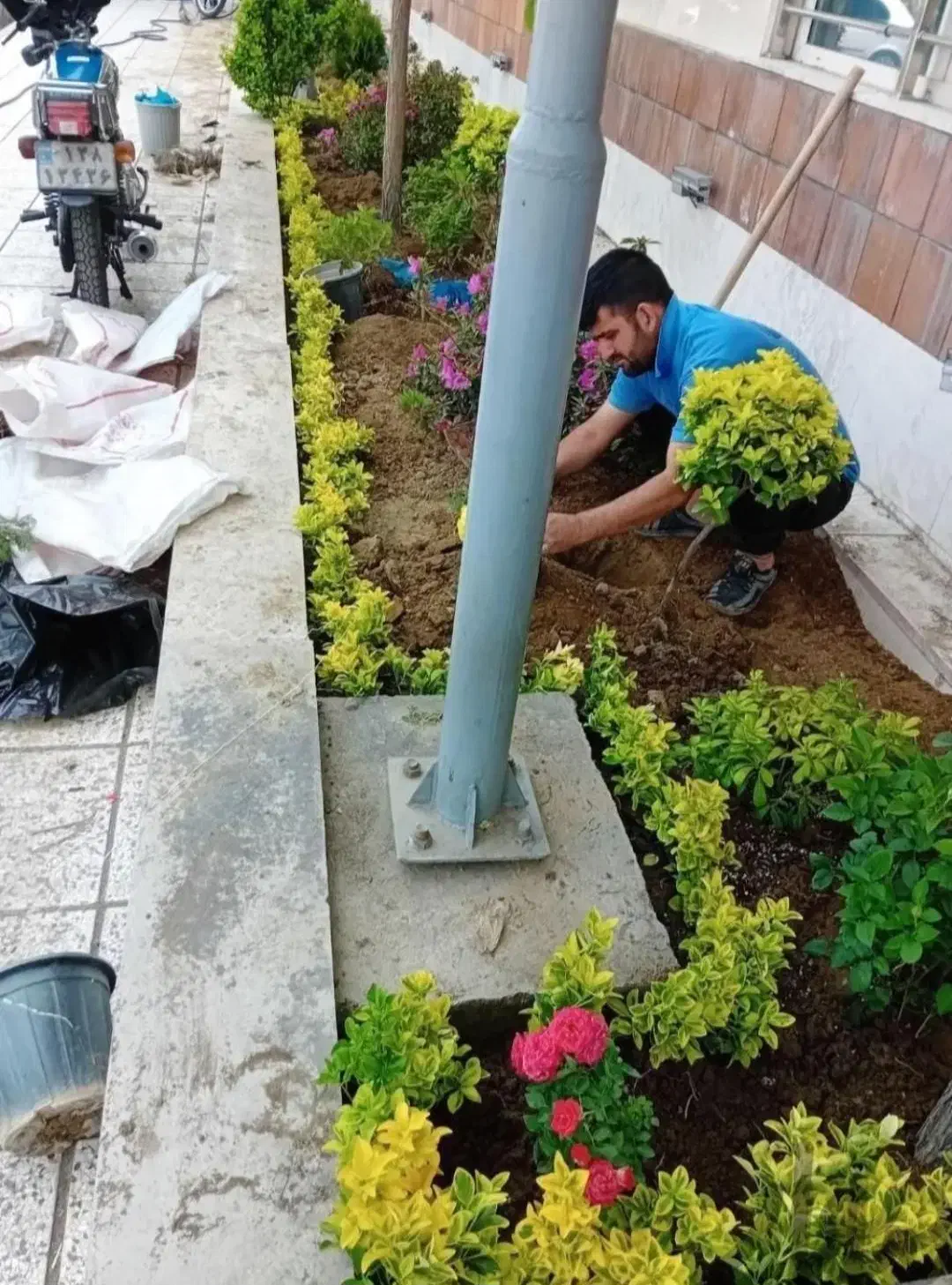 خدمات امور باغبانی گلکاری باغچه کاری هرسکاری کودهی|خدمات باغبانی و درختکاری|پردیس, فاز ۴|دیوار