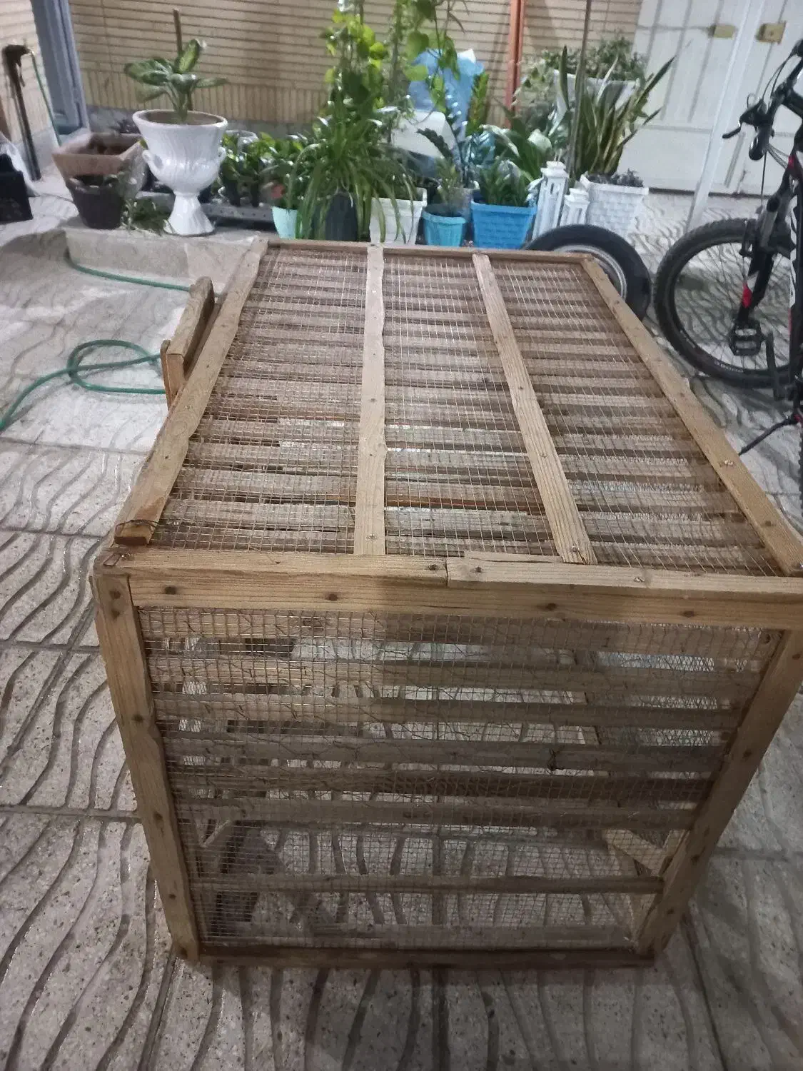 قفس|لوازم جانبی حیوانات|شاهین‌شهر, شهرک گلدیس|دیوار