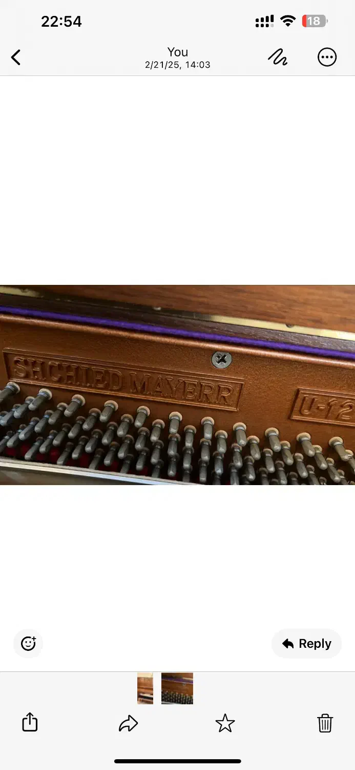 پیانو|پیانو، کیبورد، آکاردئون|شیراز, انجیر|دیوار