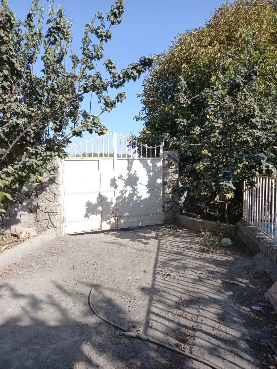 باغ با چاه آب و برق از خودش|فروش زمین و ملک کلنگی|پیر بکران, |دیوار