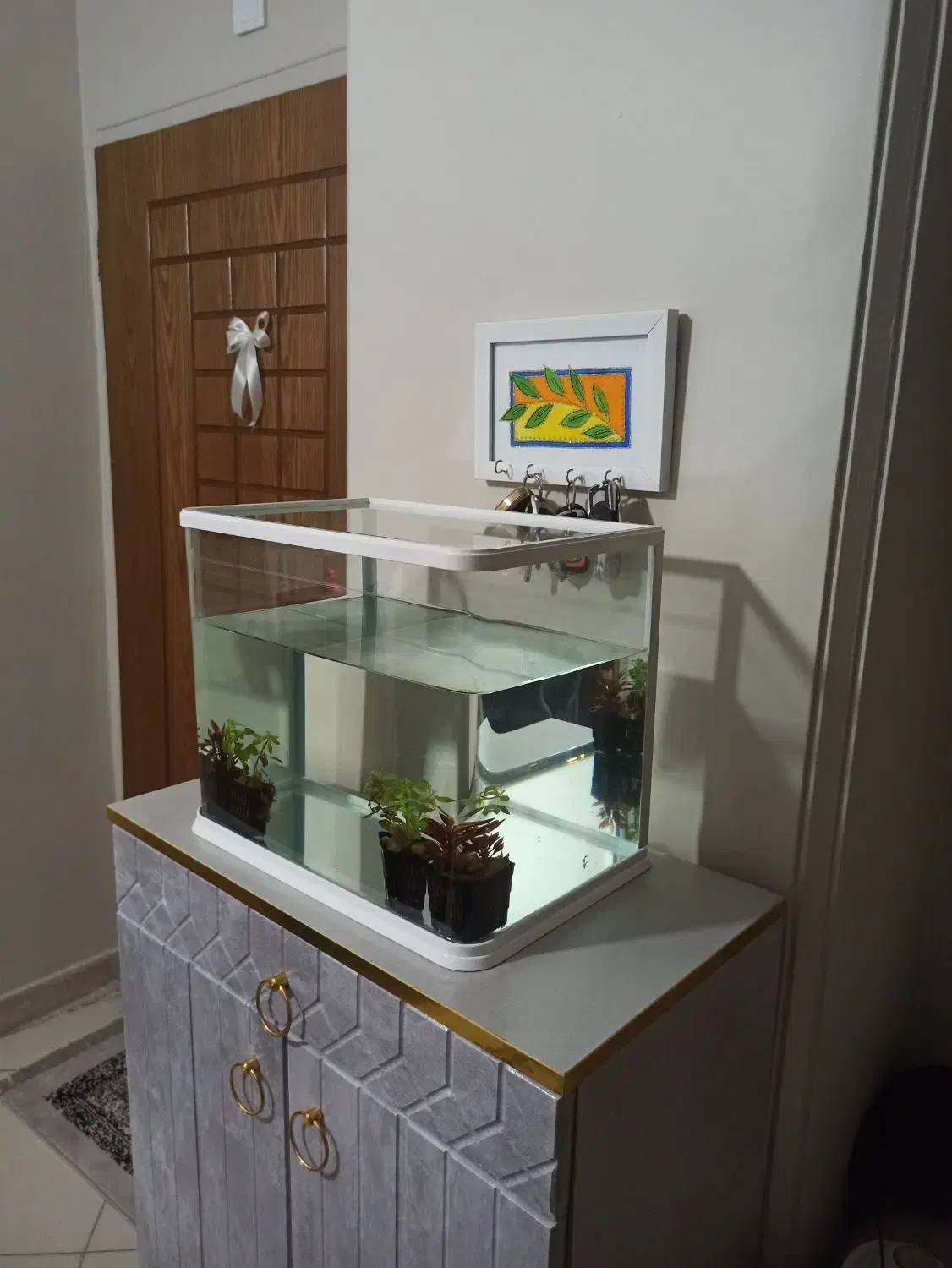 آکواریوم|ماهیگیری|تهران, جوادیه|دیوار