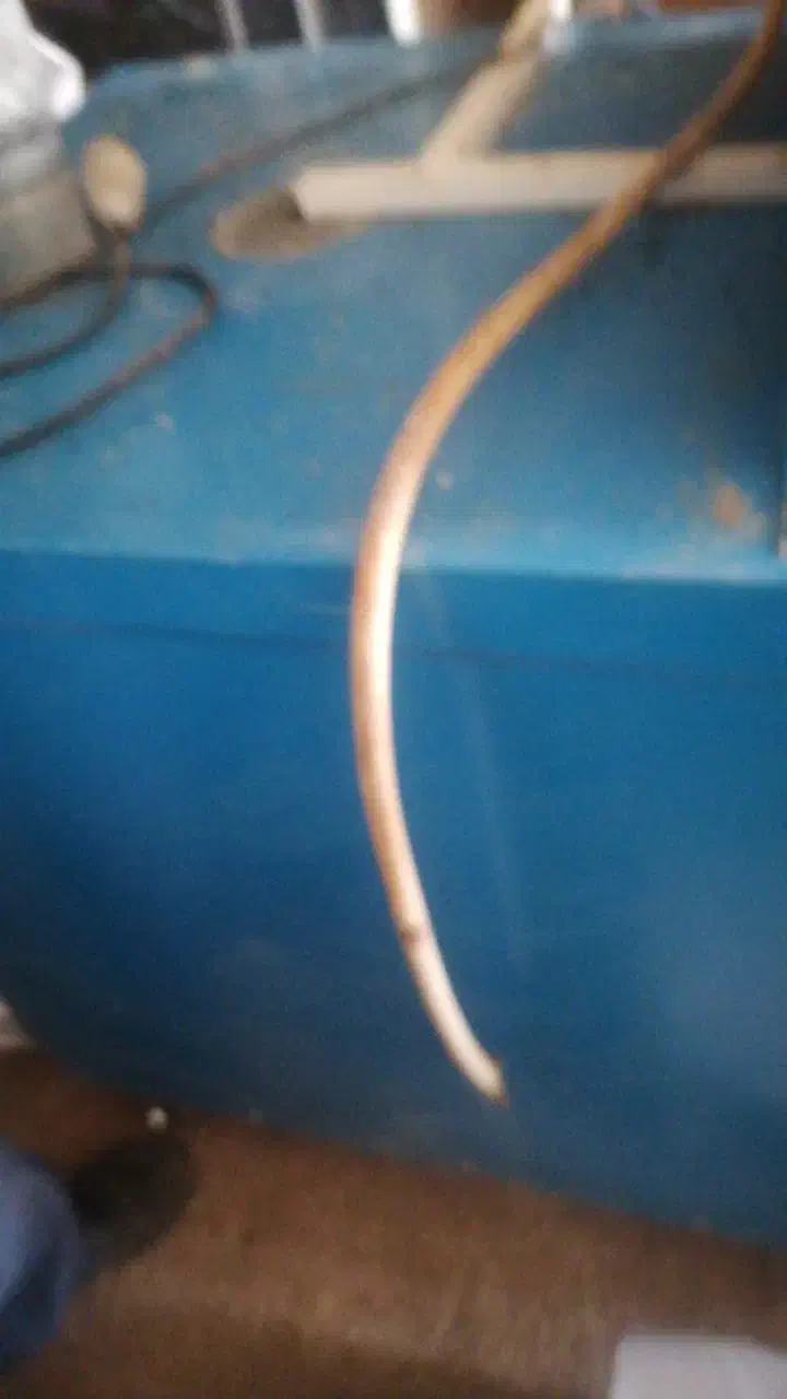 دستگاه میوه خشکن صنعتی فول اتوماتیک|ماشینآلات صنعتی|شیراز, حجت آباد|دیوار