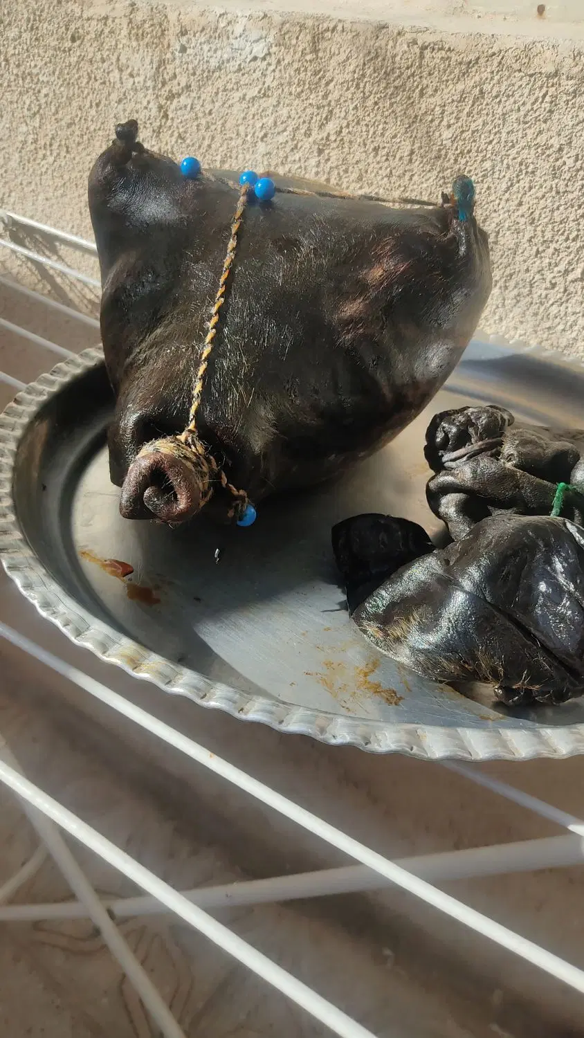 هیزه|خوردنی و آشامیدنی|ایلام, |دیوار