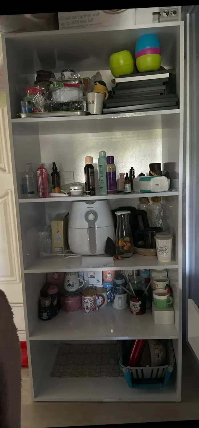 قفسه فروشگاهی|فروشگاه و مغازه|رشت, دیلمان|دیوار