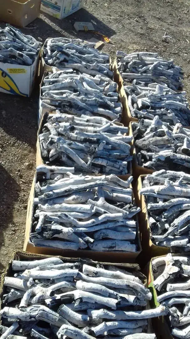 ذغال پسته قلم|عمده‌فروشی|اصفهان, فروردین|دیوار