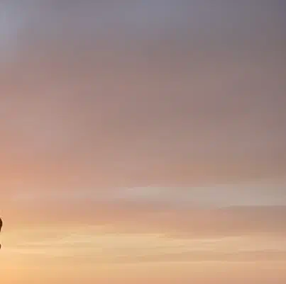 حتما ببین کسب درآمد|کارت هدیه و تخفیف|مریوان, |دیوار