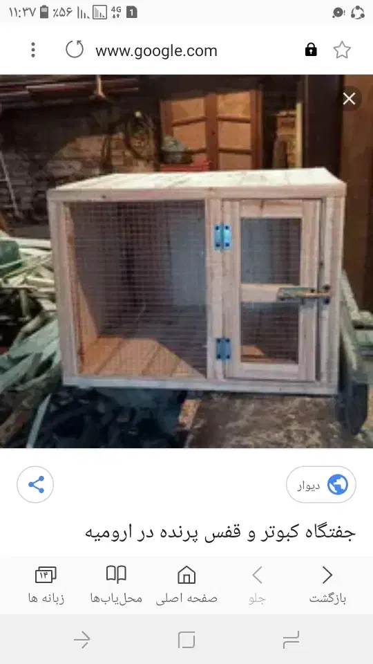 قفس مرغ|لوازم جانبی حیوانات|رشت, گلباغ نماز|دیوار