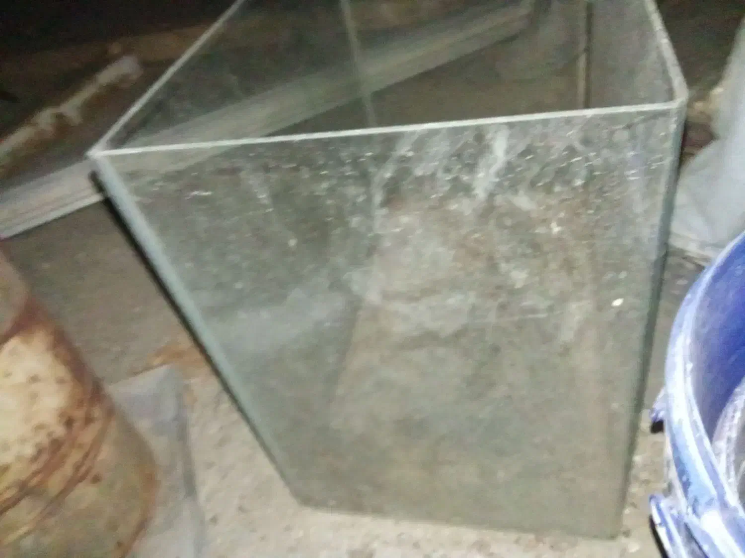 آکواریوم|ماهی|آشخانه, |دیوار