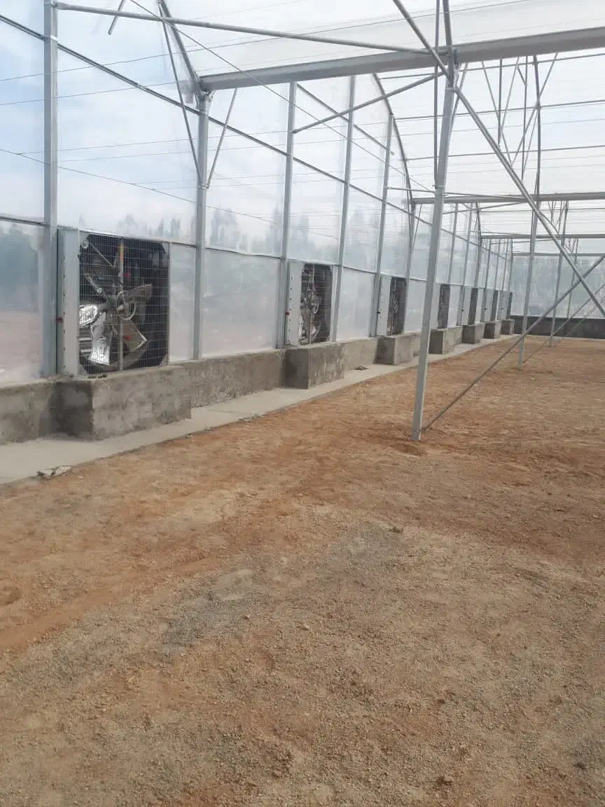 نیازمند سرمایه گذار در گلخانه هیدروپونیک مدرن|فعالیت داوطلبانه|تهران, پاسداران|دیوار