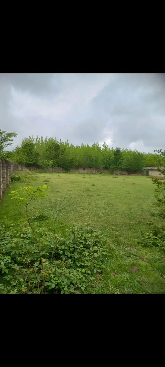 فروش ۴/۵۰۰متر گاوداری سند تک برگ|فروش دفتر صنعتی، کشاورزی، تجاری|ماکلوان, |دیوار