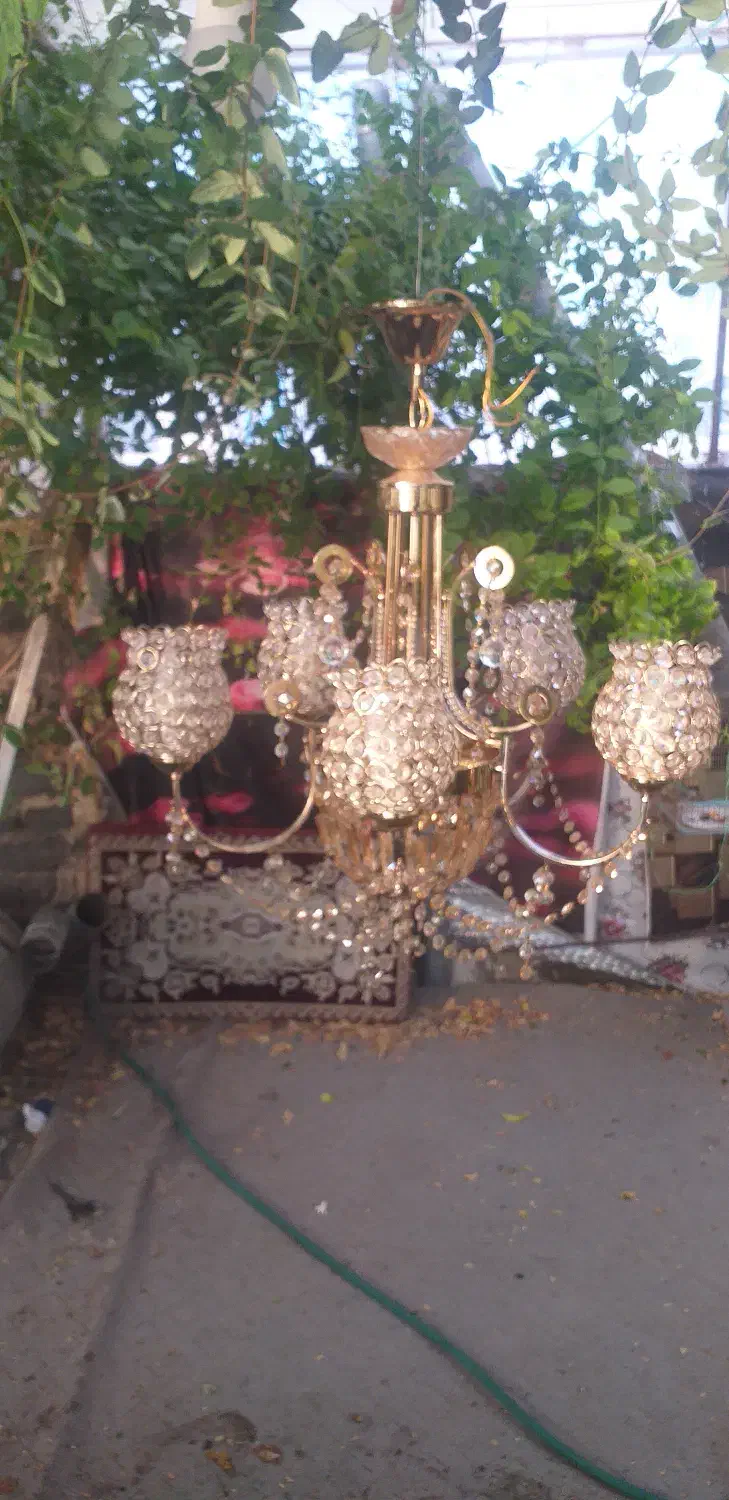 لوستر|لوستر و چراغ آویز|قم, شاه ابراهیم|دیوار