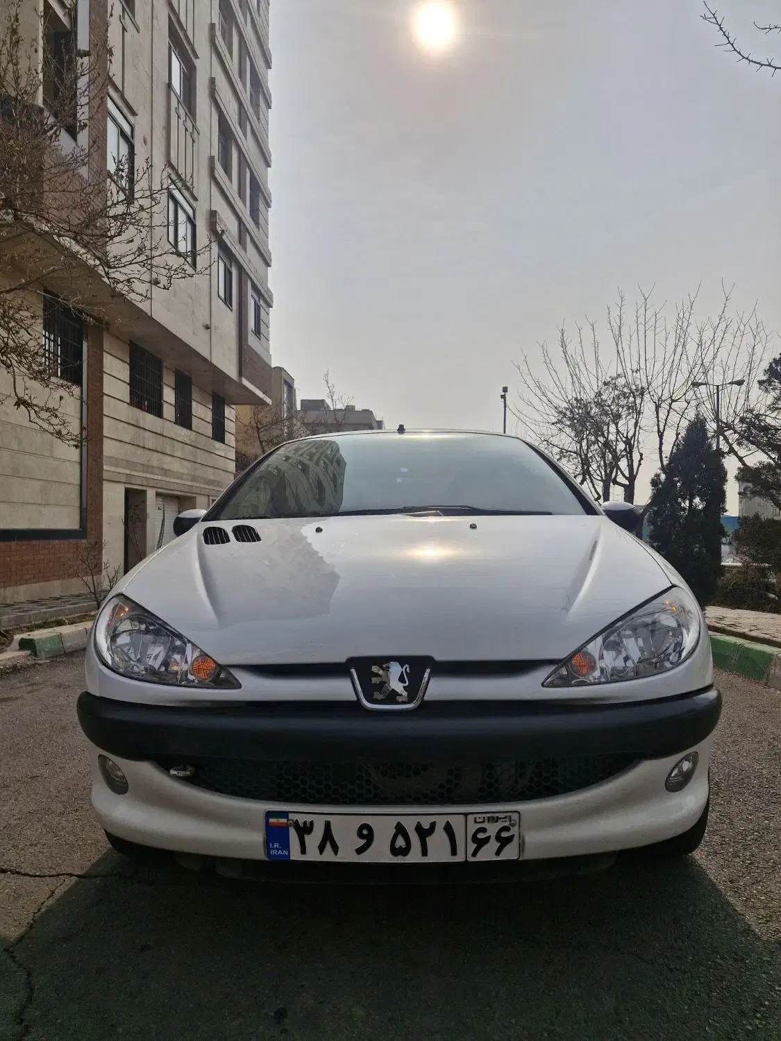 پژو ۲۰۶ مدل ۸۹ تیپ ۶|خودرو سواری و وانت|تهران, فدک|دیوار