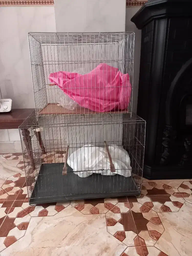 قفس|لوازم جانبی حیوانات|اسلامشهر, شهرک مهدیه|دیوار