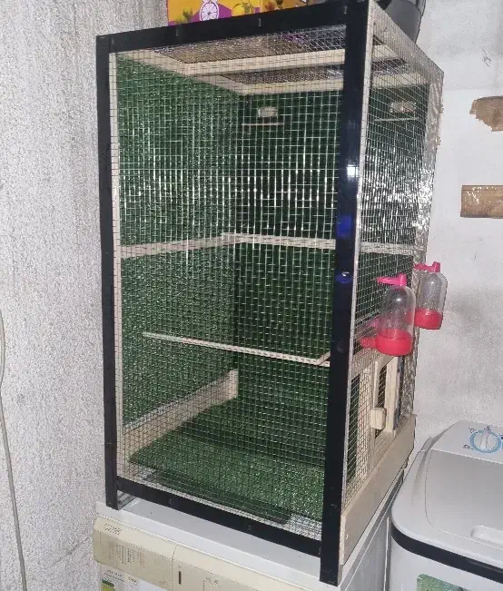 قفس|لوازم جانبی حیوانات|تهران, گرگان|دیوار