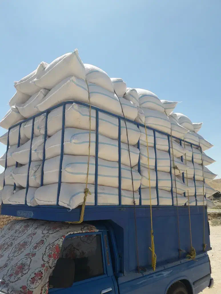 فروش کاه دیم درجه یک|حراج|حمیل, |دیوار