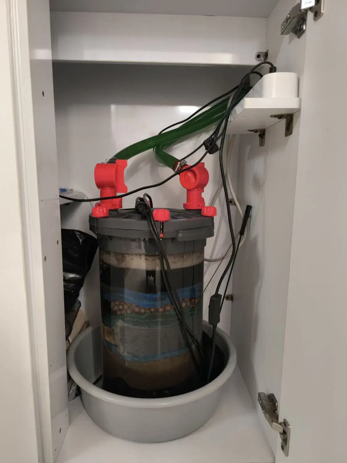 آکواریوم|ماهی|قم, شهدا|دیوار