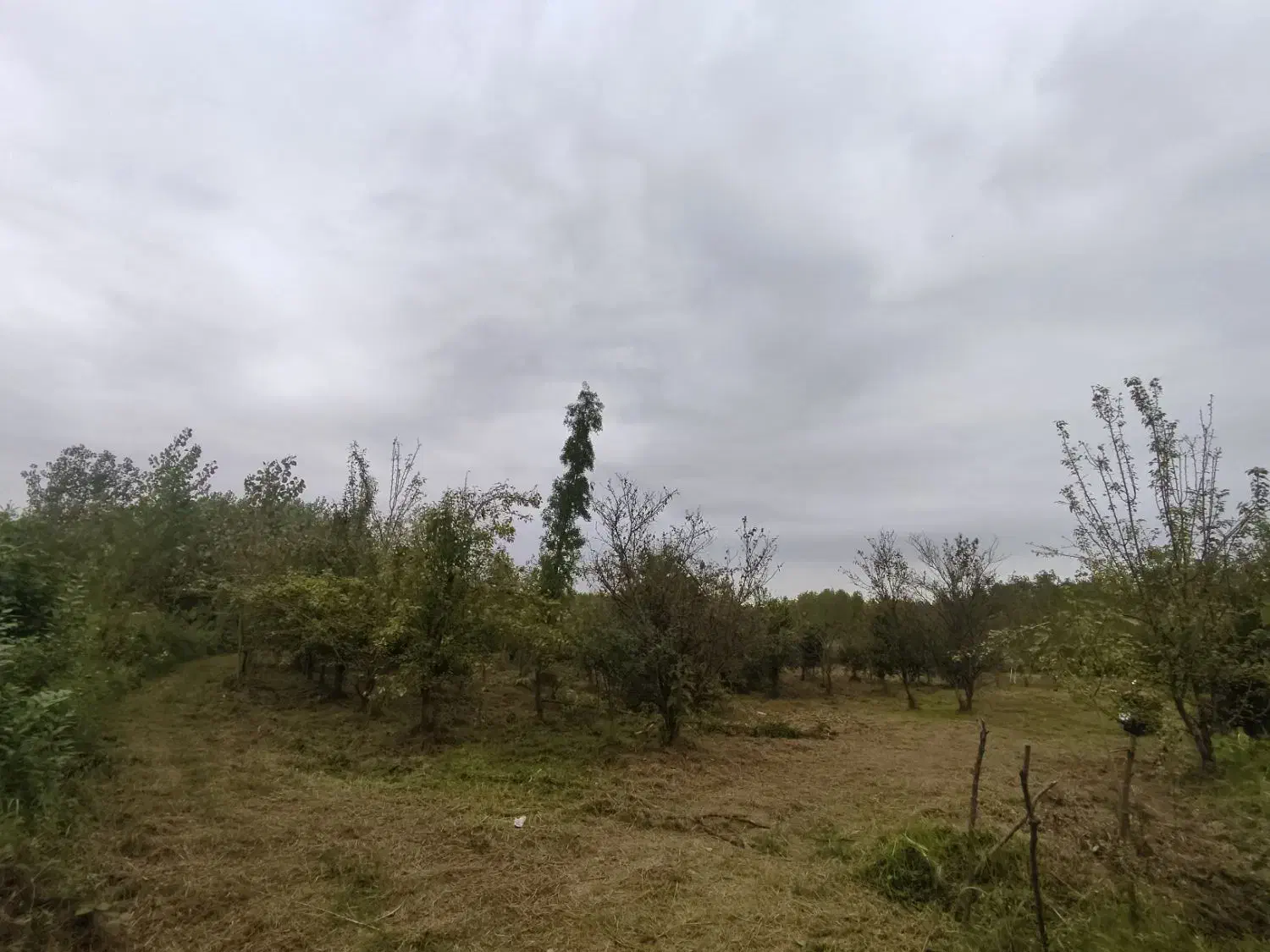 فروش ۲۲۵متر زمین باغی شمال یا معاوضه با خودرو|فروش زمین و ملک کلنگی|تهران, کامرانیه|دیوار