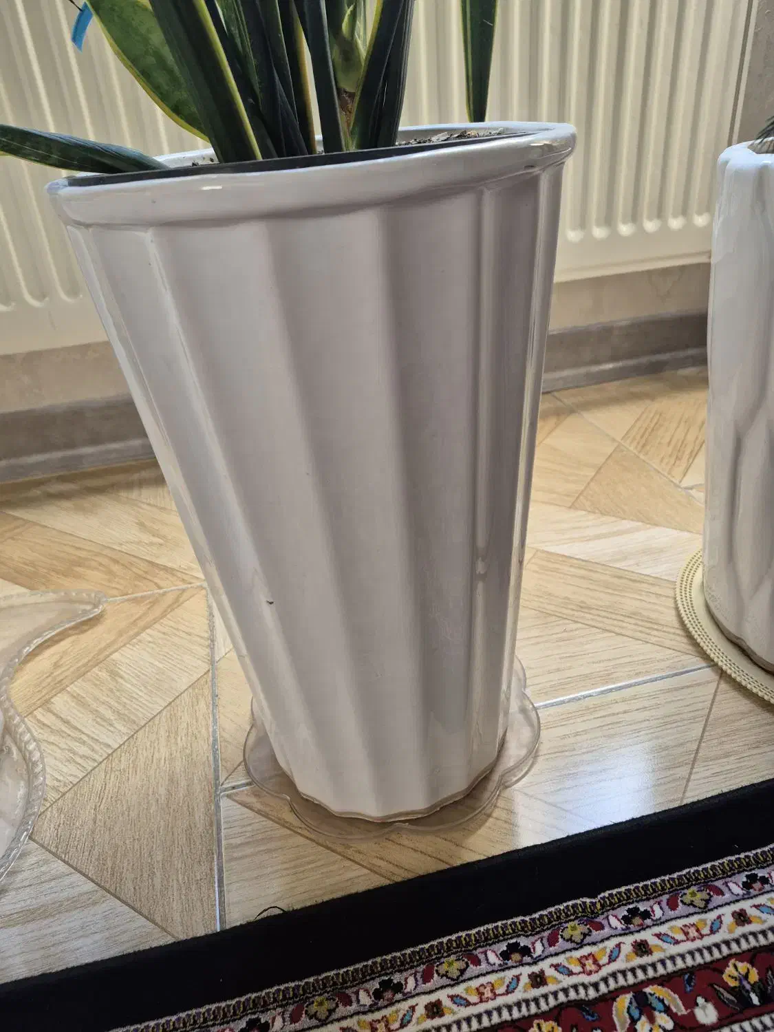 گل دان چینی|گل و گیاه طبیعی|محمدشهر, همایون ویلا|دیوار