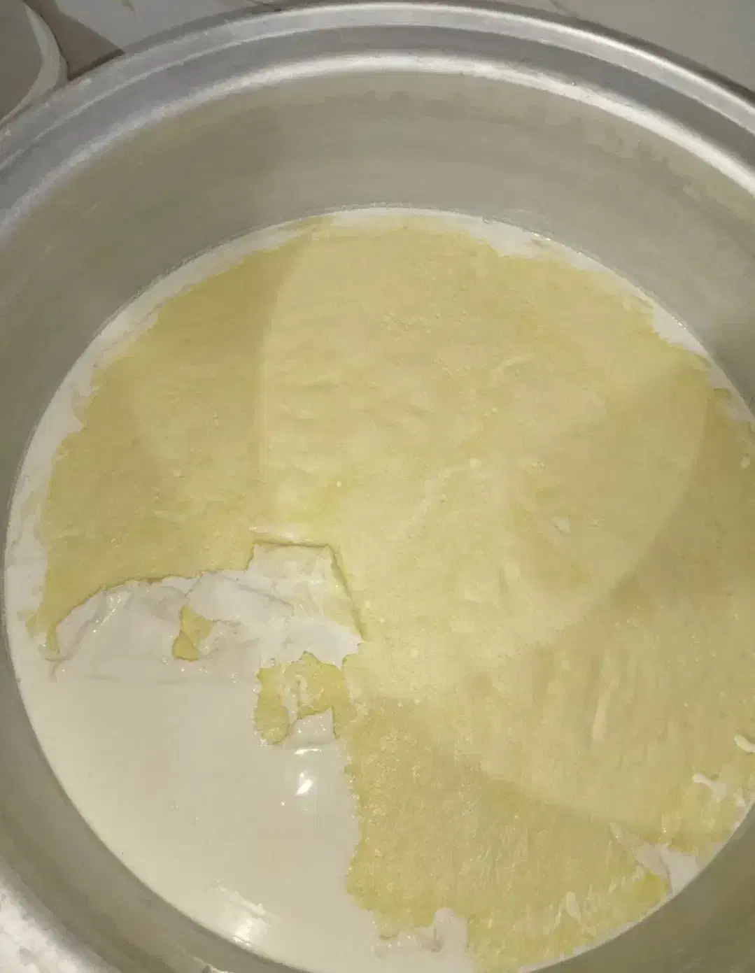 شیر پرچرب حیوانات مزرعه|حیوانات مزرعه|اهواز, آریاشهر|دیوار