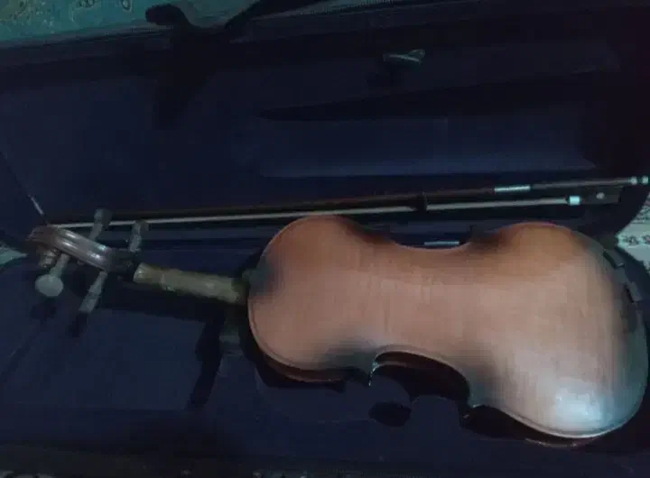 ویالون در حد نو|ویولن|گرگان, |دیوار