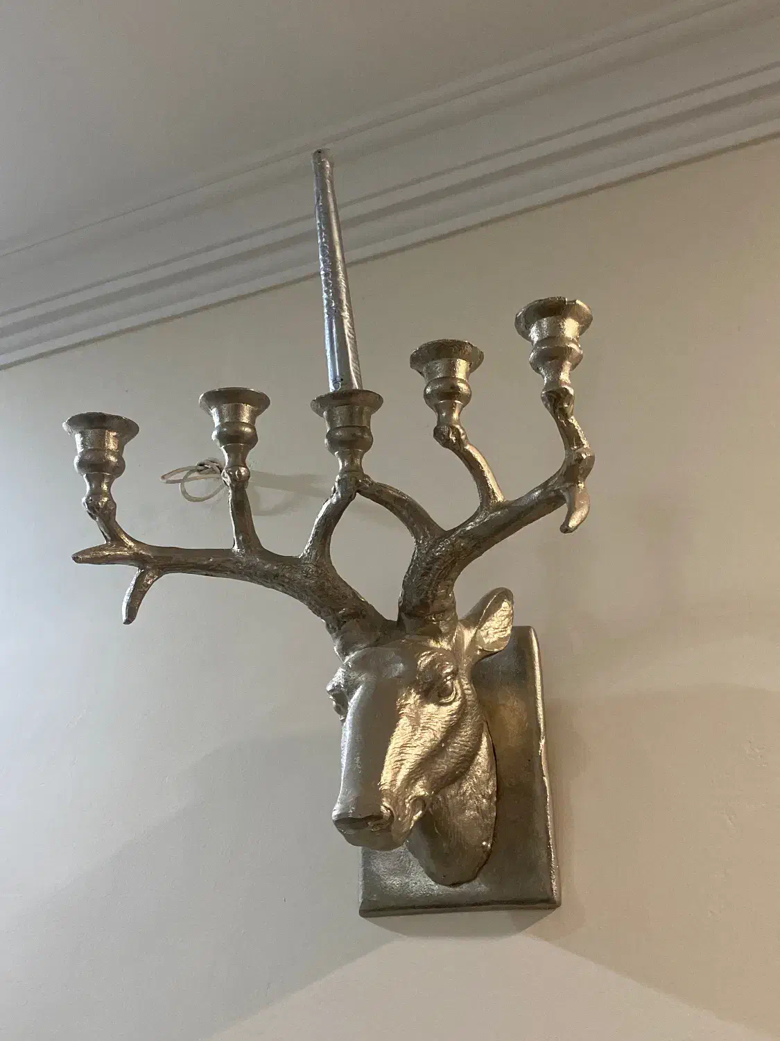 دیوارکوب گوزن|مجسمه، تندیس، ماکت|تهران, افسریه شمالی|دیوار