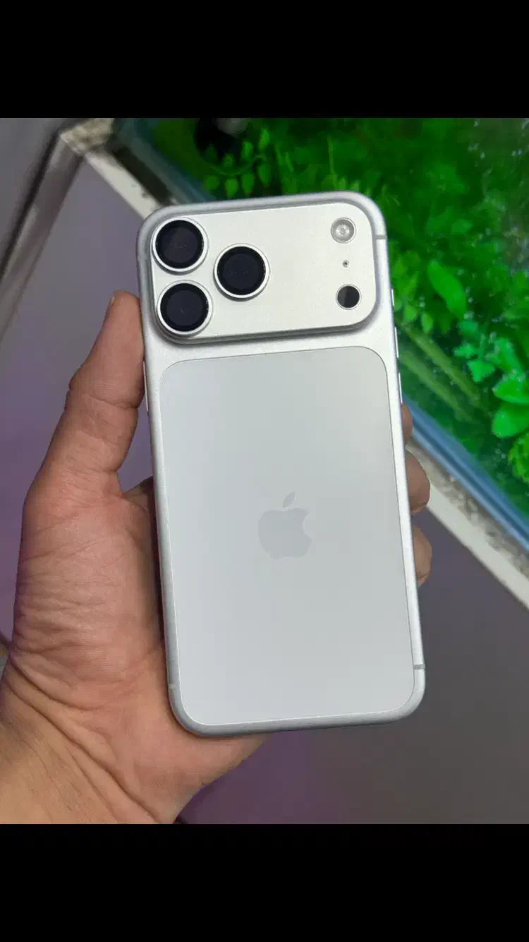 17 pro max|موبایل|مرودشت, ژیان|دیوار