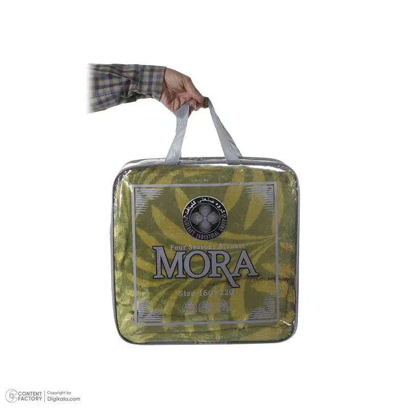 پتو|رختخواب، بالش، پتو|بیجار, |دیوار