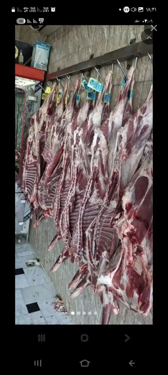 گوشت گوسفندی|خوردنی و آشامیدنی|اهر, |دیوار