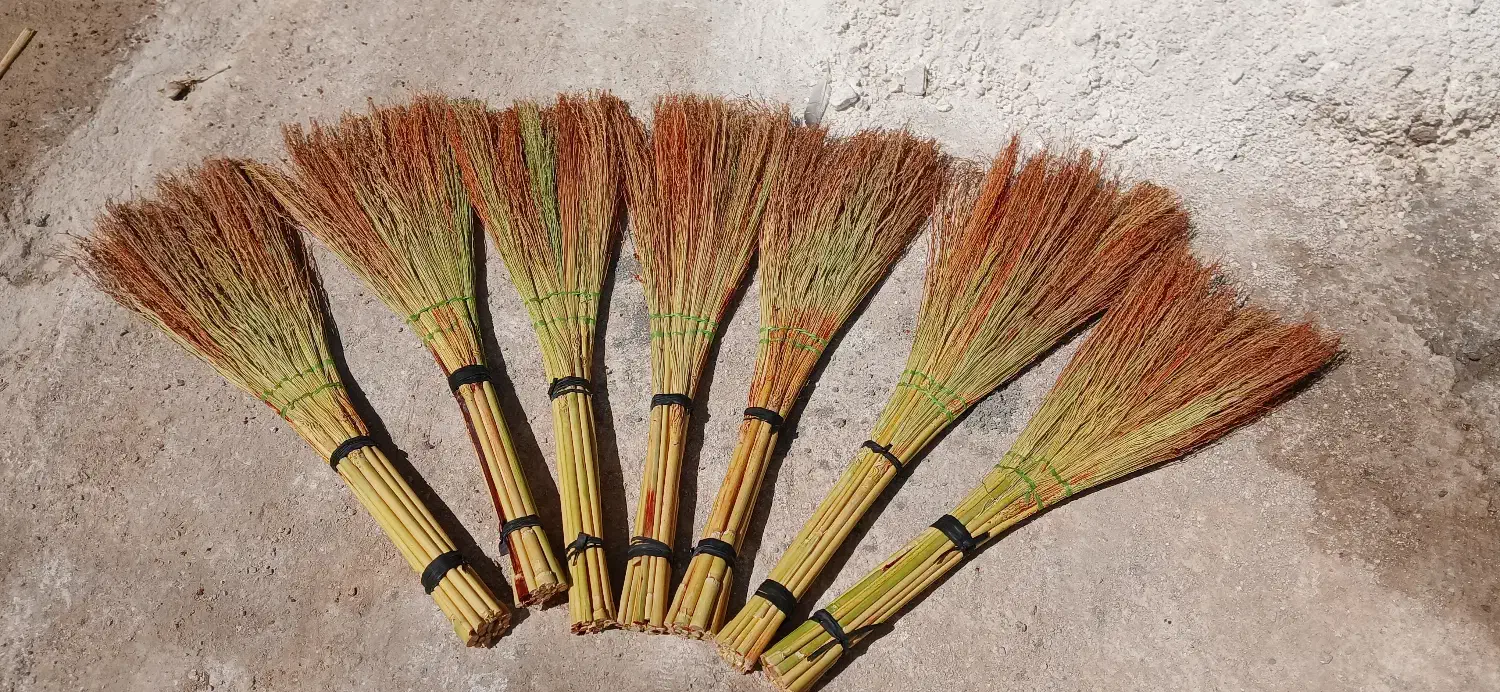 جارو دستی|لوازم نظافت|جوانرود, |دیوار