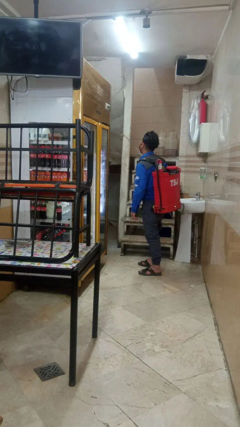 شرکت سمپاشی سوسک و ساس با ضمانت هر مناطق شهر مشهد|خدمات نظافت|مشهد, شاهد (شهرک غرب)|دیوار